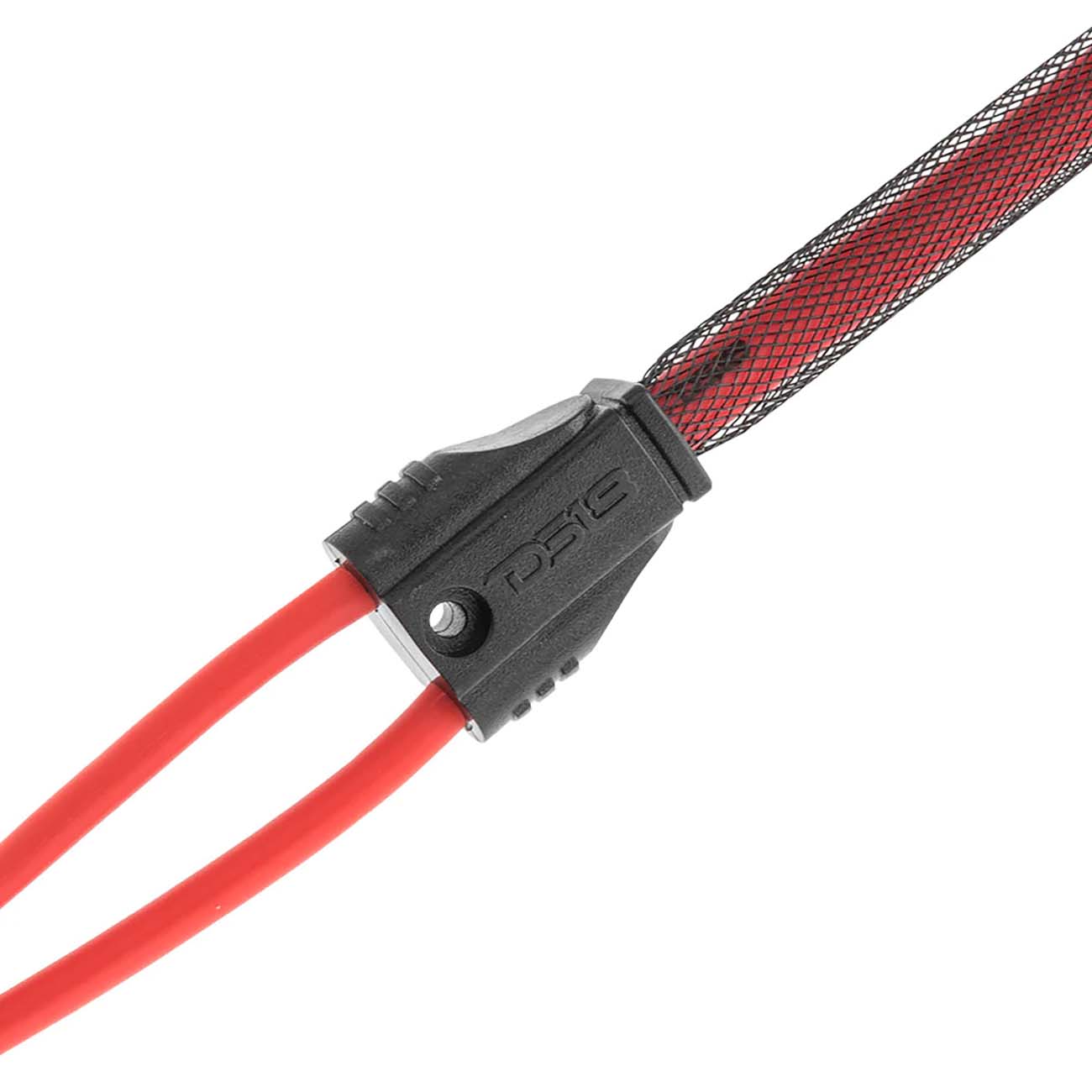 R1M2F - DS18 12" Ultra Flex 100% Copper OFC RCA Y-Cable: 1 Male to 2 Female