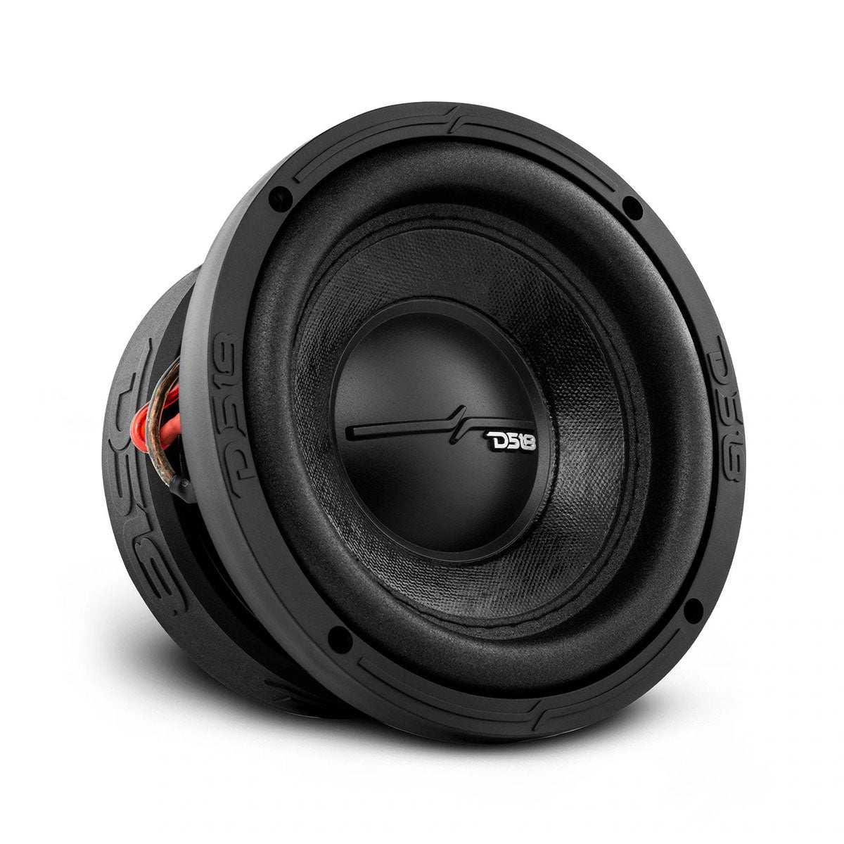 ZR62D - DS18 6.5″ Woofer 300W RMS/600W Max Dual 2 Ohm Voice Coils