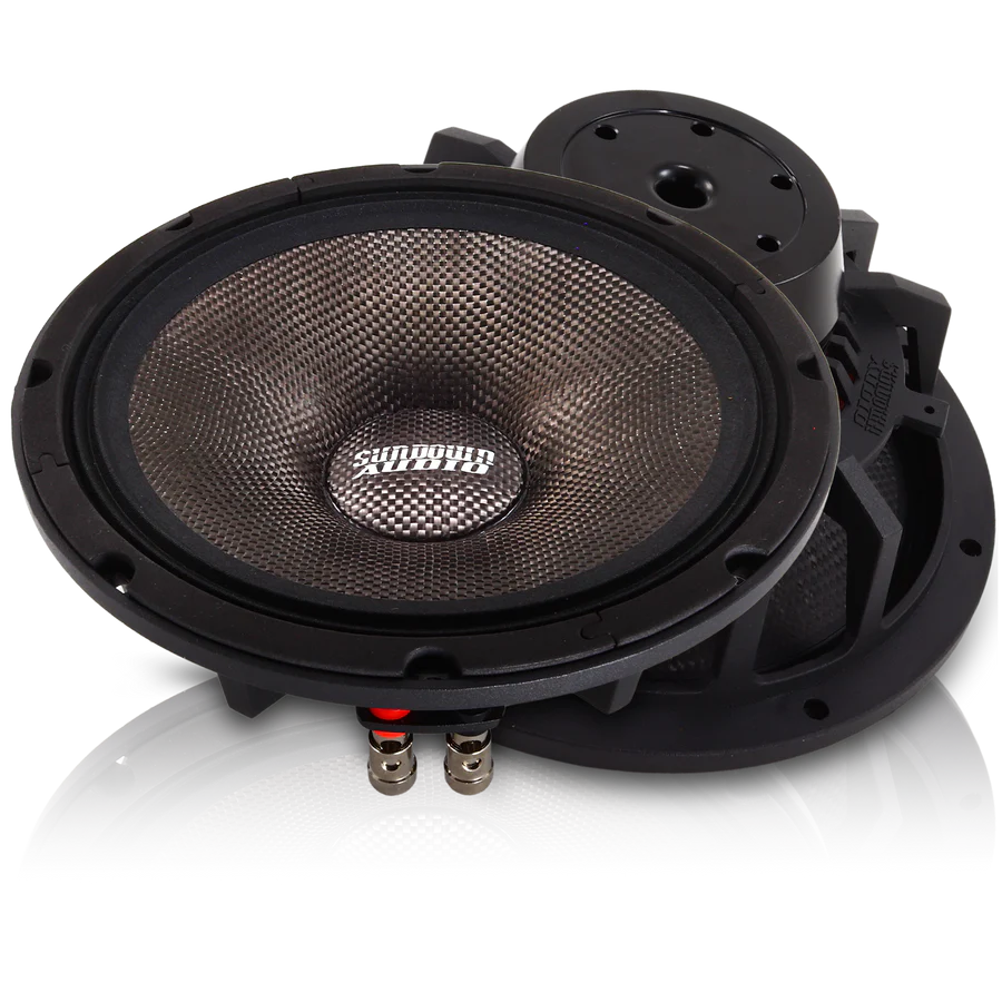 NeoPro-10 v.4 150W-340W Pro Audio Midrange Speaker