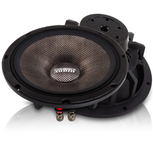 NeoPro-10 v.4 150W-340W Pro Audio Midrange Speaker